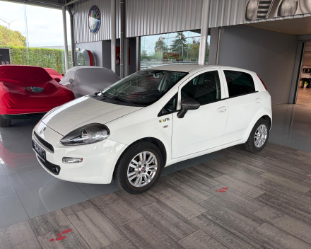 FIAT PUNTO 1.2 YOUNG - € 6500